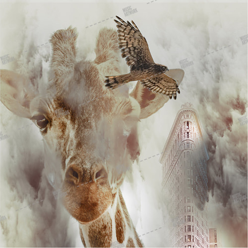 Album cover showing a fantasy image