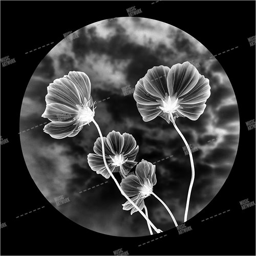 album artwork with negative flowers