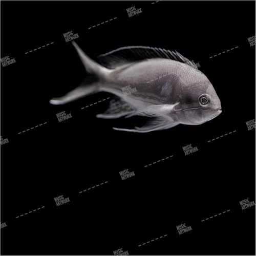 album artwork with a fish