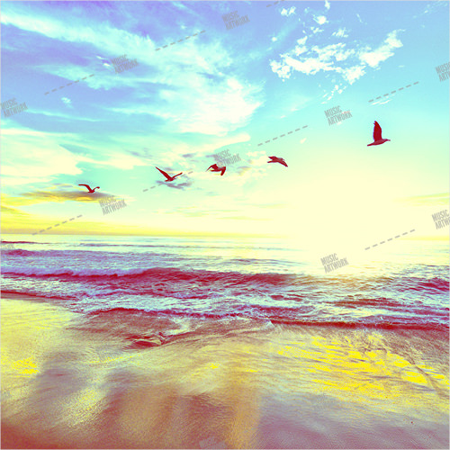 Album art with a beach, sea and birds