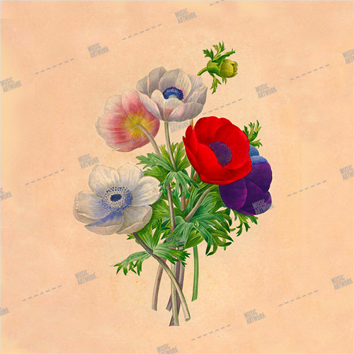 Artwork with coloured flowers and poppy