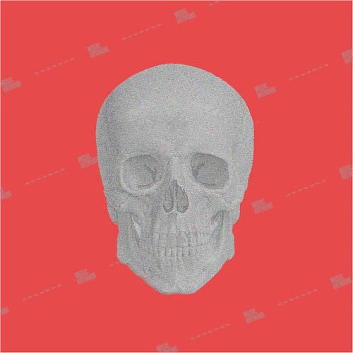 Album art with skull