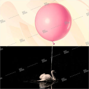 album art with swan and pink baloon