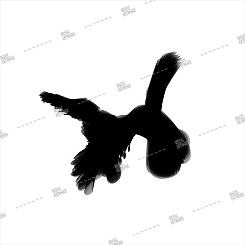 album artwork with black bird