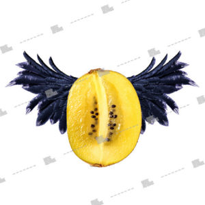 fruit with wings