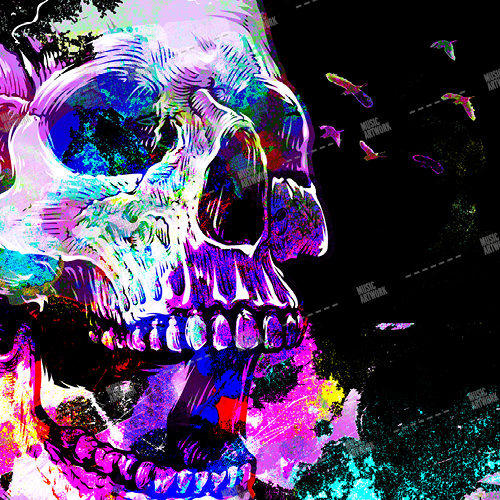 skull and colors