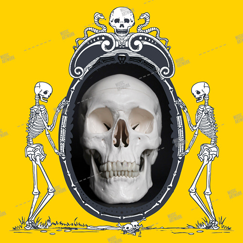 skull and skeletons