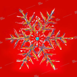 snowflake artwork