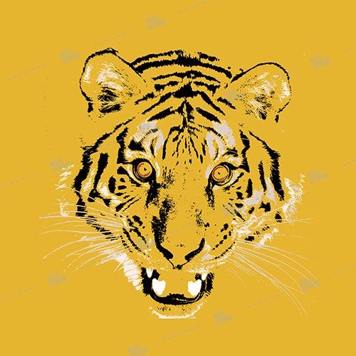tiger album art
